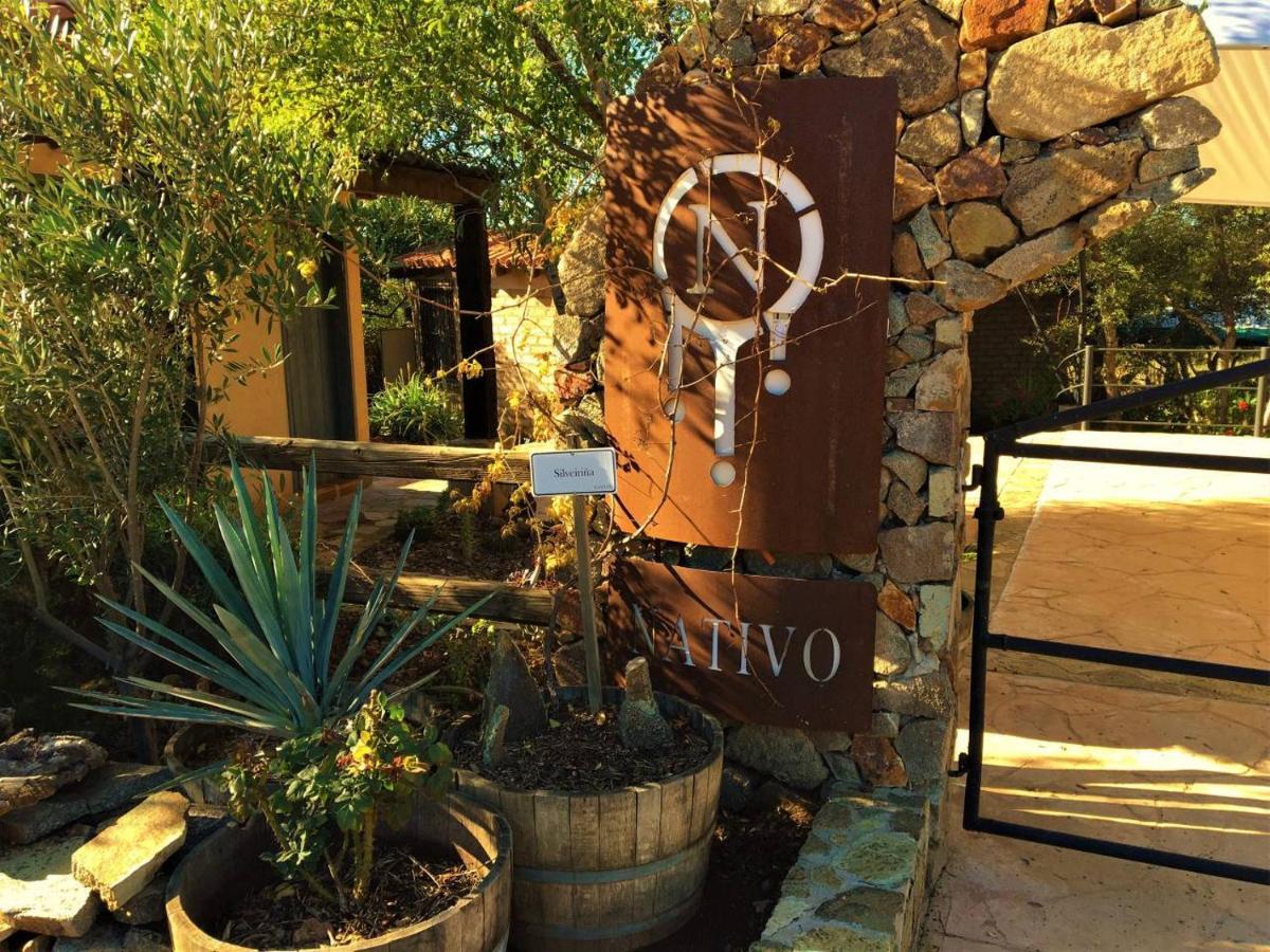 Suites Nativo - Beautiful Vineyard & Valley View บาเย เด กัวลาลูเป ภายนอก รูปภาพ